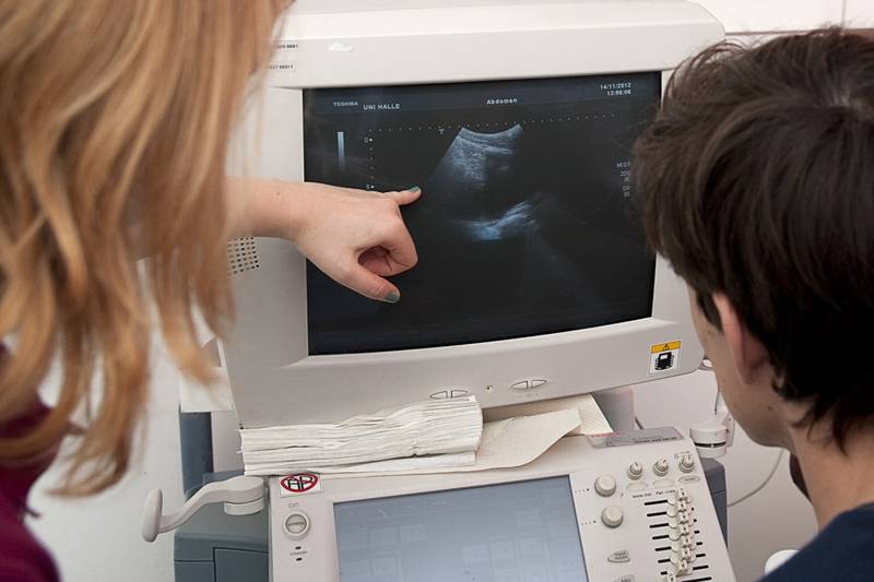 Zwei Personen schauen sich ein Ultraschall-Bild auf einem Monitor an.