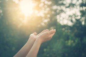 Zwei Hände bilden eine Schale, darüber befindet sich eine Sonne, die auf die Hände scheint. Im Hintergrund sind grüne Bäume zu erkennen.