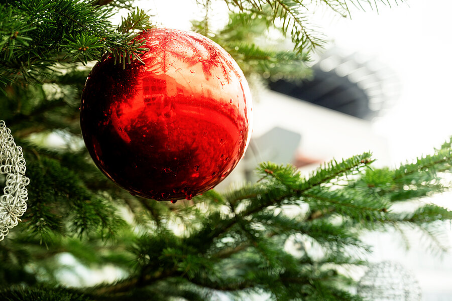 Nahaufnahme einer großen roten Christbaumkugel, die an einem Weihnachtsbaum hängt. Im Hintergrund ist das Hauptgebäude des Universitätsklinikums Halle (Saale) zu sehen.  Nahaufnahme einer großen roten Christbaumkugel, die an einem Weihnachtsbaum hängt. Im Hintergrund ist das Hauptgebäude des Universitätsklinikums Halle (Saale) zu sehen.