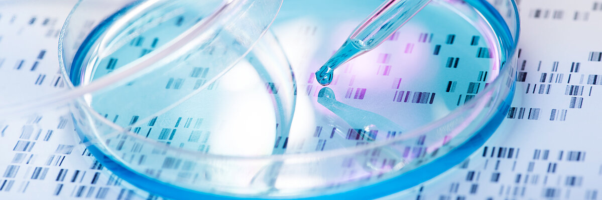 eine Pipette in einer Glasschale