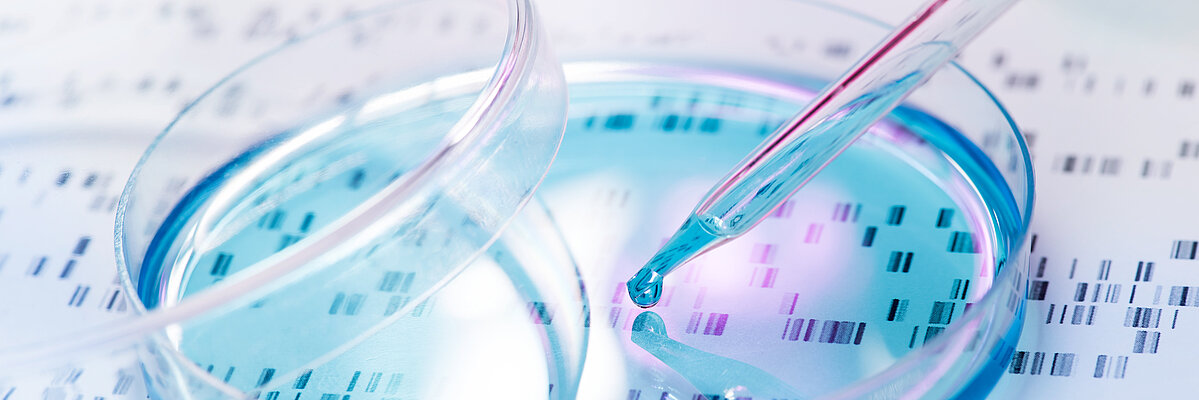 eine Pipette in einer Glasschale