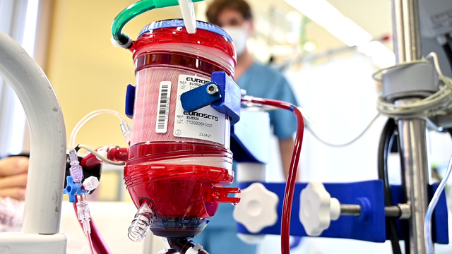 ECMO-Life-Support-Programm (HELP)