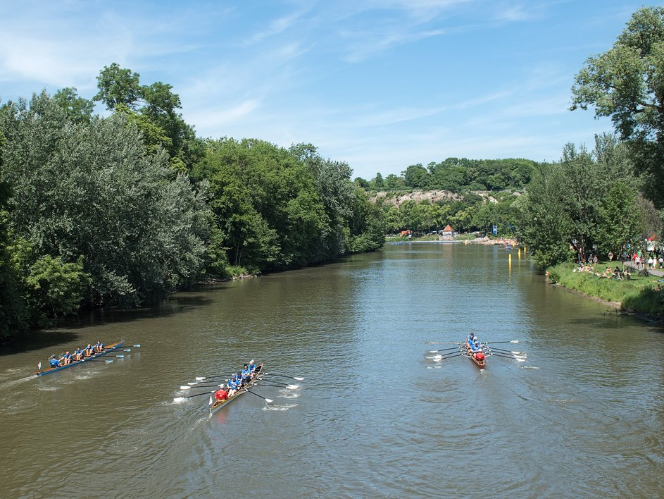 Ruderer auf der Saale in Halle