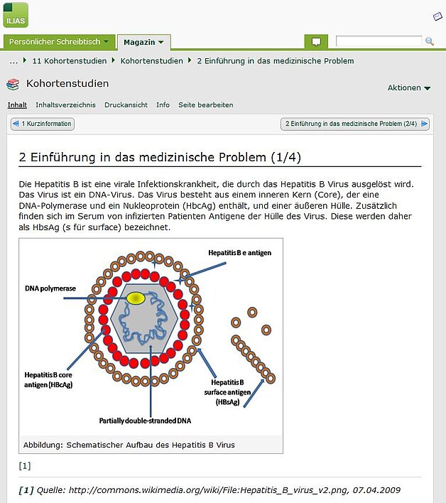 Screenshot der ILIAS-Lernplattform der Uni Halle, Thema Kohortenstudien, Grafik und Text