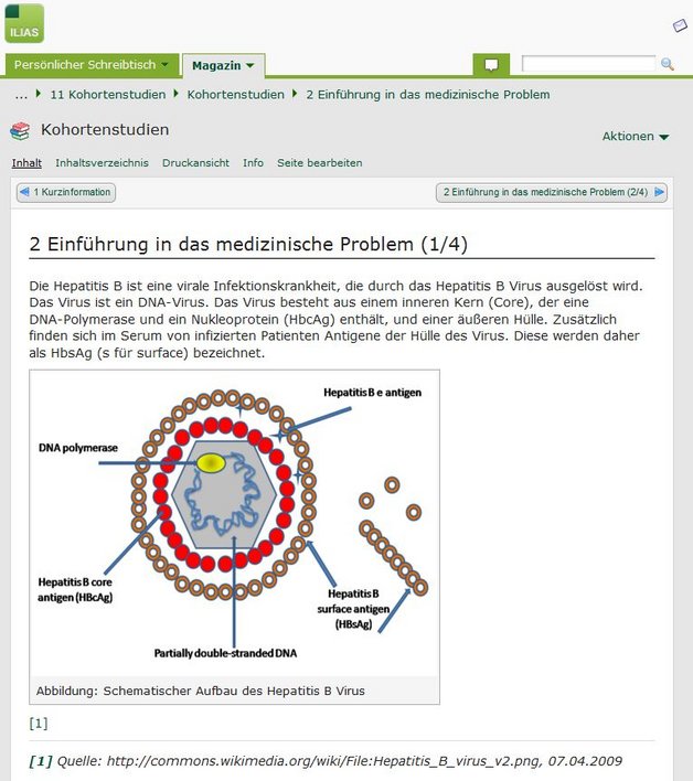 Screenshot der ILIAS-Lernplattform der Uni Halle, Thema Kohortenstudien, Grafik und Text