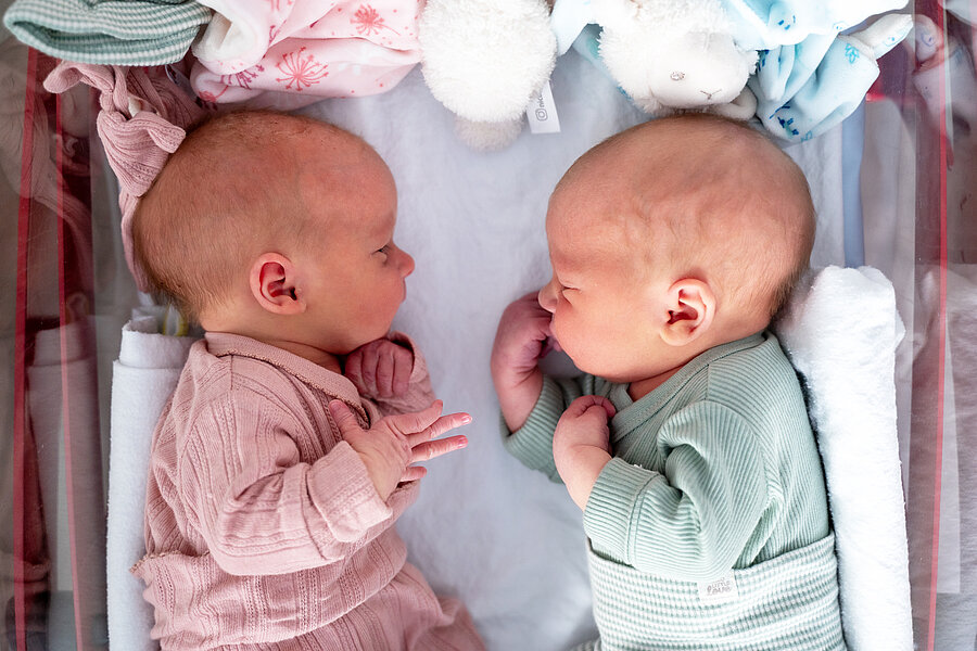 Neugeborene Zwillinge liegen sich in einem Babybett gegenüber. In dem Bett liegen Stofftiere und kleine Mützen.  Neugeborene Zwillinge liegen sich in einem Babybett gegenüber. In dem Bett liegen Stofftiere und kleine Mützen.