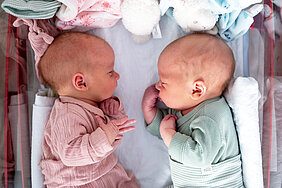 Neugeborene Zwillinge liegen sich in einem Babybett gegenüber. In dem Bett liegen Stofftiere und kleine Mützen.