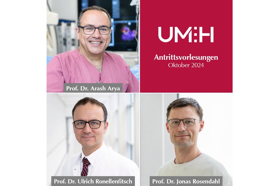 Eine quadratische Bildmontage mit vier gleich großen Kacheln. Drei Kacheln zeigen die Porträtfotos von Professor:innen. Die vierte Kachel ist rot und mit dem Text "UMH, Antrittsvorlesungen Oktober 2024" versehen.  Eine quadratische Bildmontage mit vier gleich großen Kacheln. Drei Kacheln zeigen die Porträtfotos von Professor:innen. Die vierte Kachel ist rot und mit dem Text "UMH, Antrittsvorlesungen Oktober 2024" versehen.