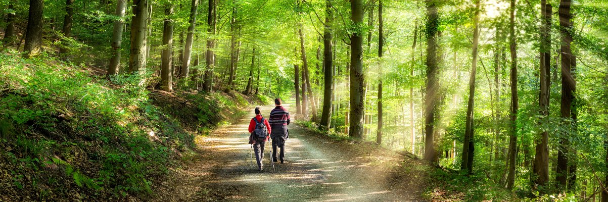 Zwei Menschen wandern im Wald