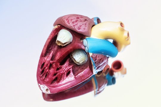 Kinderkardiologie