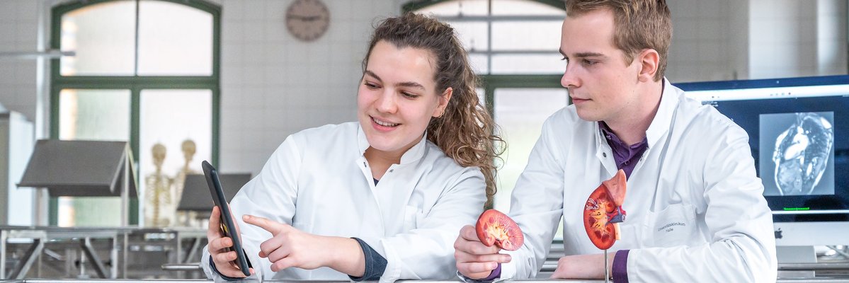 Frau und Mann im weißen Kittel mit einem Organmodell und einem Tablet in den Räumen der Pathologie