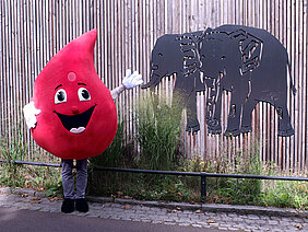 Eine Person im Maskottchen-Kostüm des Blutspendedienstes des Universitätsklinikums Halle (Saale) (ein großer Blutstropfen mit Gesicht und Armen) steht vor einer Holzwand, die zum Bergzoo Halle gehört. Auf der Holzwand befindet sich ein Elefantenmotiv.
