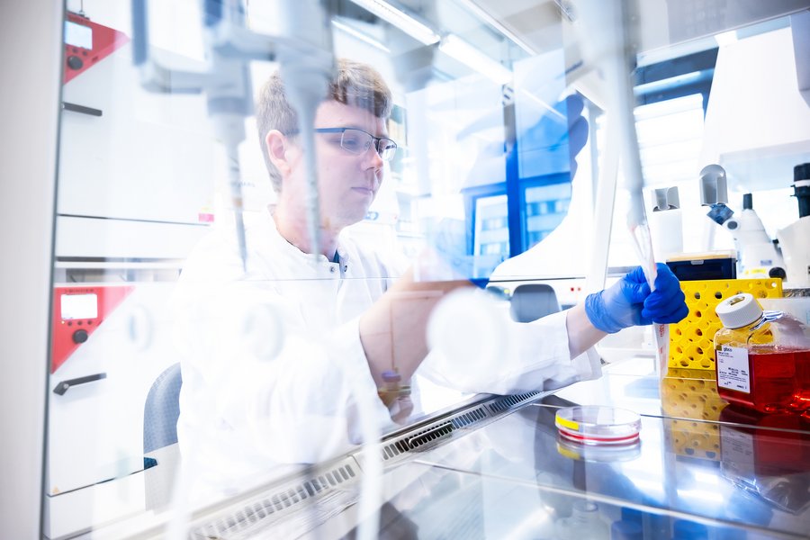 A person wearing blue gloves, glasses and a lab coat works with cell cultures in the laboratory.  A person wearing blue gloves, glasses and a lab coat works with cell cultures in the laboratory.