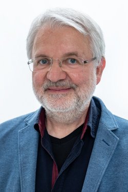 Prof. Dr. rer. nat. habil. Thomas Hollemann
