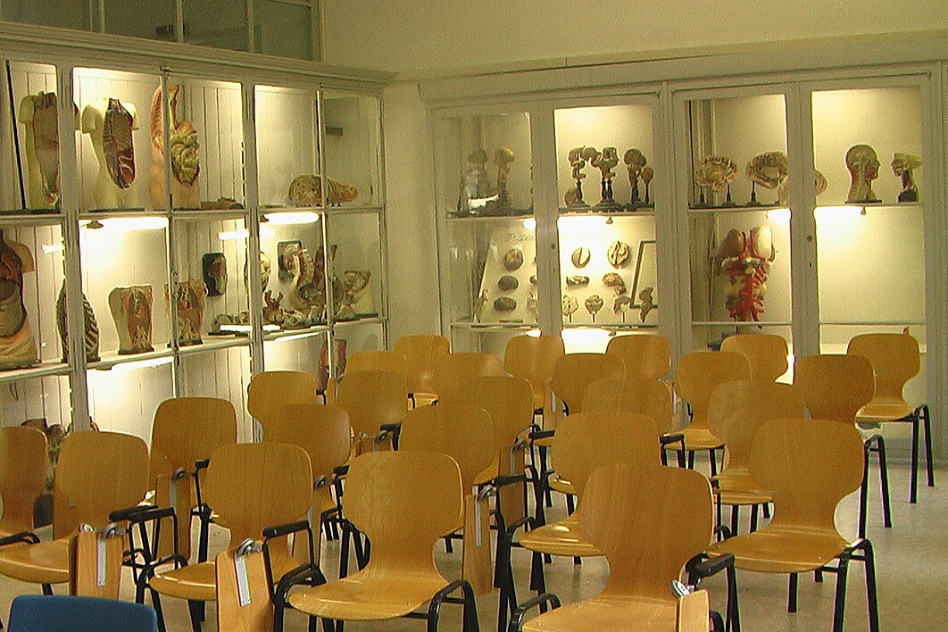 Silentium. Raum mit Stühlen und Präparaten in Ausstellungsschränken