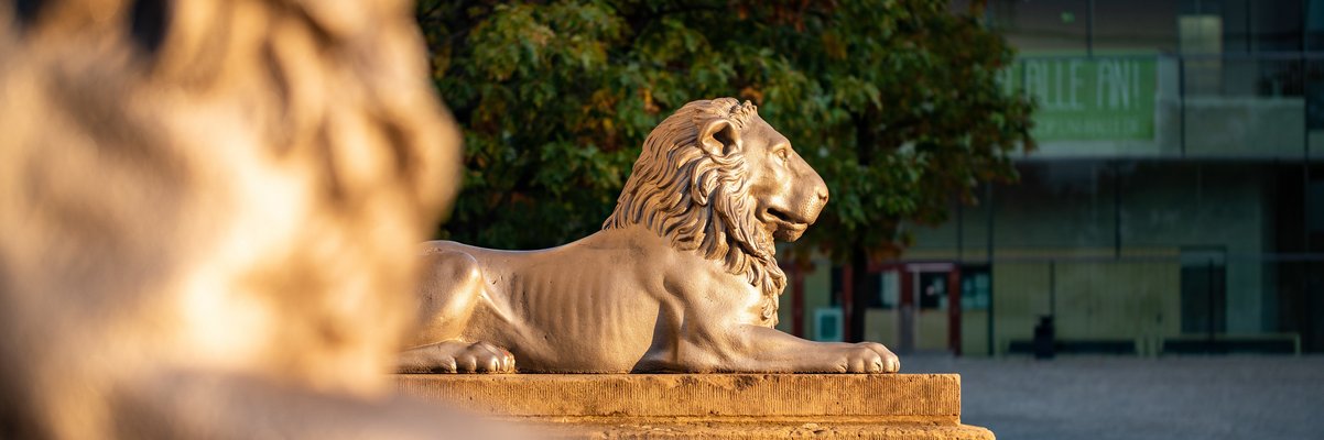 Ausschnitt des Löwen am Löwengebäude in Halle