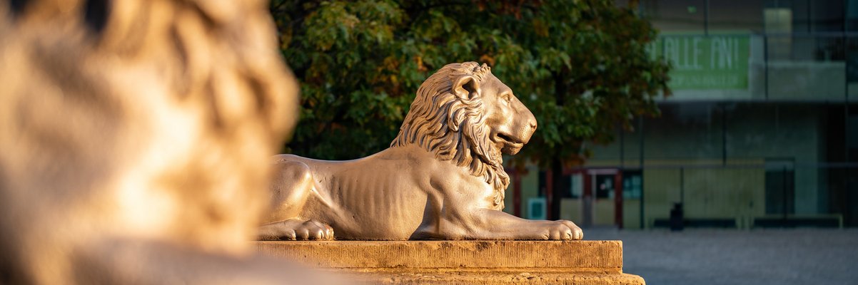 Ausschnitt des Löwen am Löwengebäude in Halle