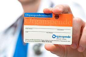 Detailaufnahme: Eine Hand hält einen Organspendeausweis in die Kamera.
