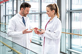 Ein Mann links und eine Frau rechts in weißen Arztkitteln stehen in einem Krankenhausgang. Sie hält ein Uterusmodell in der Hand. Beide sind in ein Gespräch vertieft
