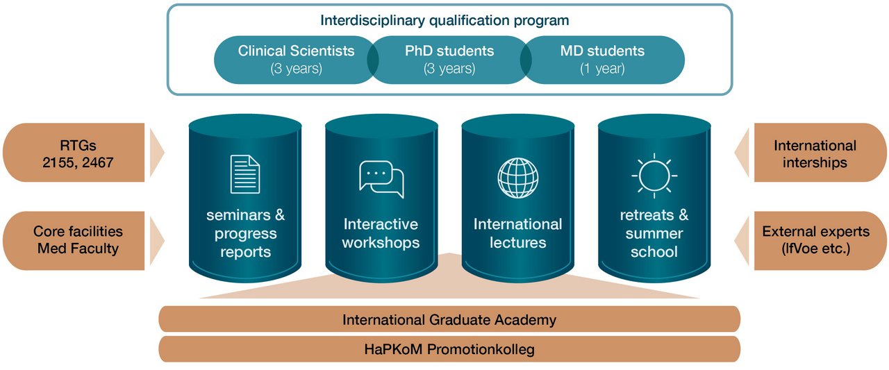 Four pillars that are labeled seminars and progress reports, interactive workshops, international lectures as well as retreats and a summer academy carry the qualification program of the RTG