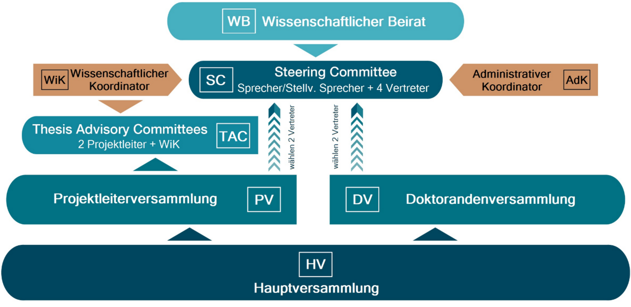 figure17_deutsch Die Grafik zeigt ein Organigramm des GRK.
