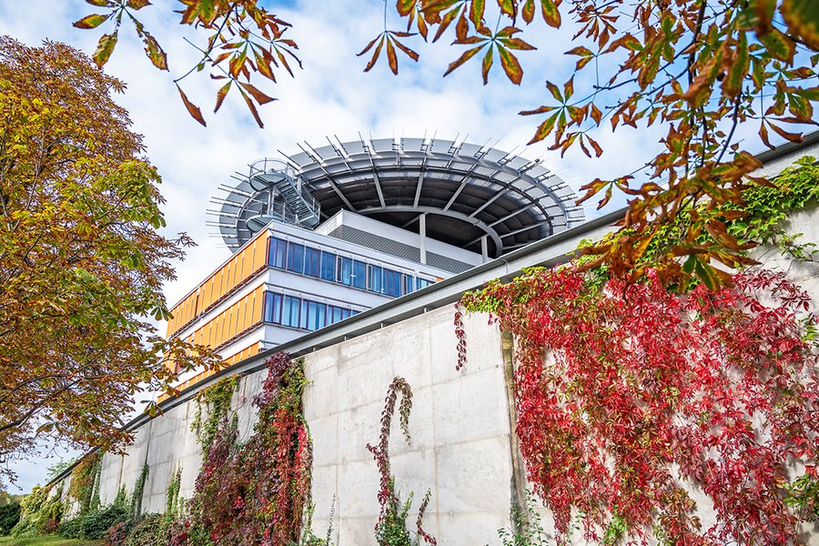 Im Vordergrund sind herbstlich verfärbte Bäume und eine Efeuranke zu sehen. Im Hintergrund steht das Universitätsklinikum Halle.  Im Vordergrund sind herbstlich verfärbte Bäume und eine Efeuranke zu sehen. Im Hintergrund steht das Universitätsklinikum Halle.