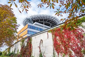 Im Vordergrund sind herbstlich verfärbte Bäume und eine Efeuranke zu sehen. Im Hintergrund steht das Universitätsklinikum Halle.