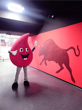 Das Blutspende-Maskottchen "Bob the Drop" der Universitätsmedizin Halle, ein großer Blutstropfen mit Gesicht, steht neben einer Wand, auf der ein Stier schematisch abgebildet ist.