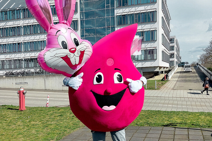 Eine Person steht im Maskottchen-Kostüm der Blutspende des Universitätsklinikums Halle (Saale) (UKH) vor dem Hauptgebäude des UKH. Das Kostüm ist ein großer Blutstropfen. Hinter ihm schwebt ein Luftballon in Hasenform.  Eine Person steht im Maskottchen-Kostüm der Blutspende des Universitätsklinikums Halle (Saale) (UKH) vor dem Hauptgebäude des UKH. Das Kostüm ist ein großer Blutstropfen. Hinter ihm schwebt ein Luftballon in Hasenform.