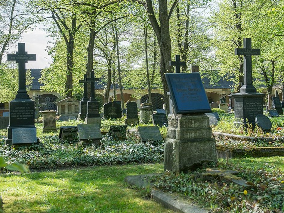 Gedenkplatte von Johann Friedrich Meckel in Halle