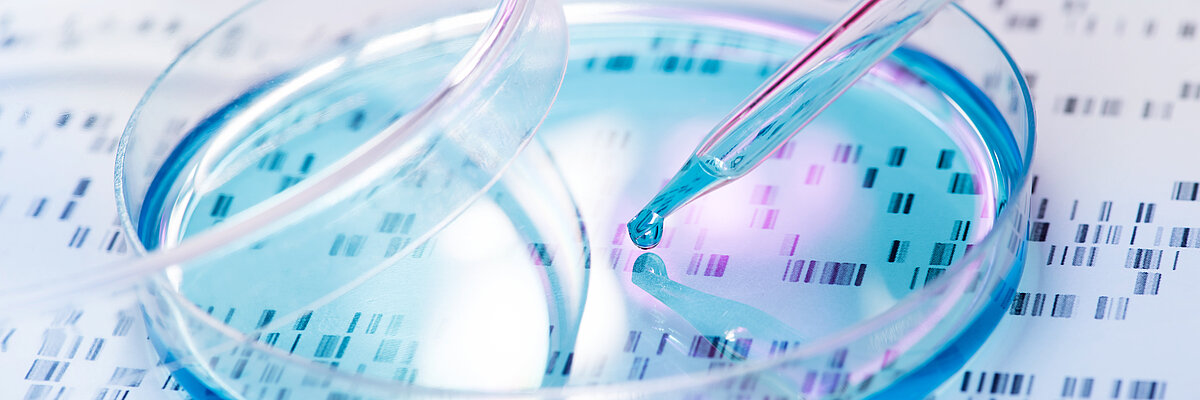 Pipette in einer Petrischale