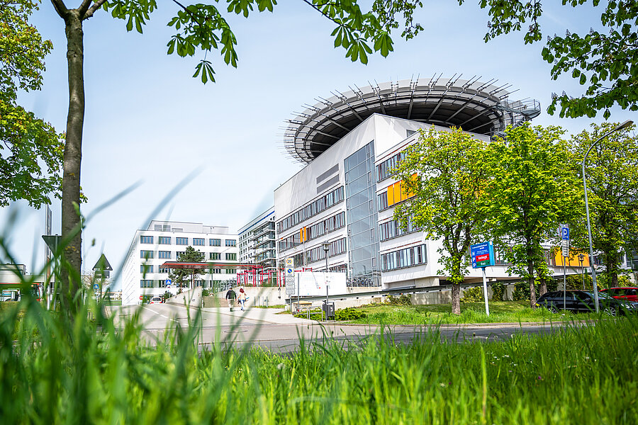 Außenaufnahme des Haupteingangsbereichs der Universitätsklinik Halle (Saale). Das Gebäude ist von grünen Bäumen und einer Wiese eingerahmt.  Außenaufnahme des Haupteingangsbereichs der Universitätsklinik Halle (Saale). Das Gebäude ist von grünen Bäumen und einer Wiese eingerahmt.