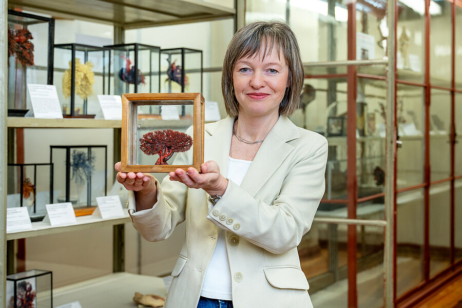 Eine Frau steht vor vielen Schaukästen. In den ausgestreckten Händen hält sie eine kleine Vitrine mit Holzrahmen und Glaswänden vor sich. Darin befindet sich ein intensiv rot gefärbtes Nierenpräparat, das durch seine feine Verästelung und Orientierung an einen Bonsai erinnert.  Eine Frau steht vor vielen Schaukästen. In den ausgestreckten Händen hält sie eine kleine Vitrine mit Holzrahmen und Glaswänden vor sich. Darin befindet sich ein intensiv rot gefärbtes Nierenpräparat, das durch seine feine Verästelung und Orientierung an einen Bonsai erinnert.