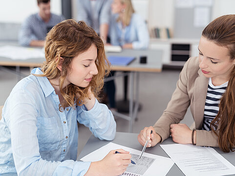 MLU-Mentoringprogramme