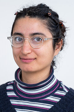 Shiwa Ghassabei