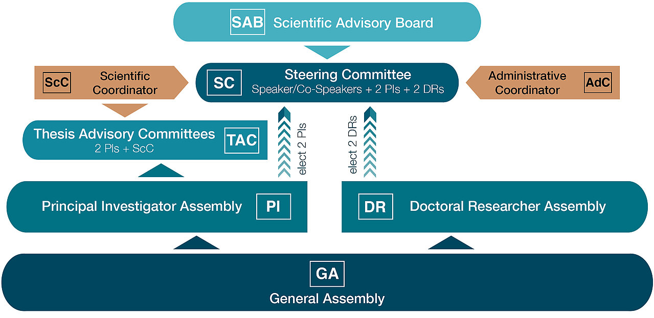 Organization chart of the RTG