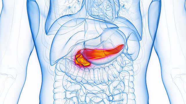 German Pancreatic Cancer Research
