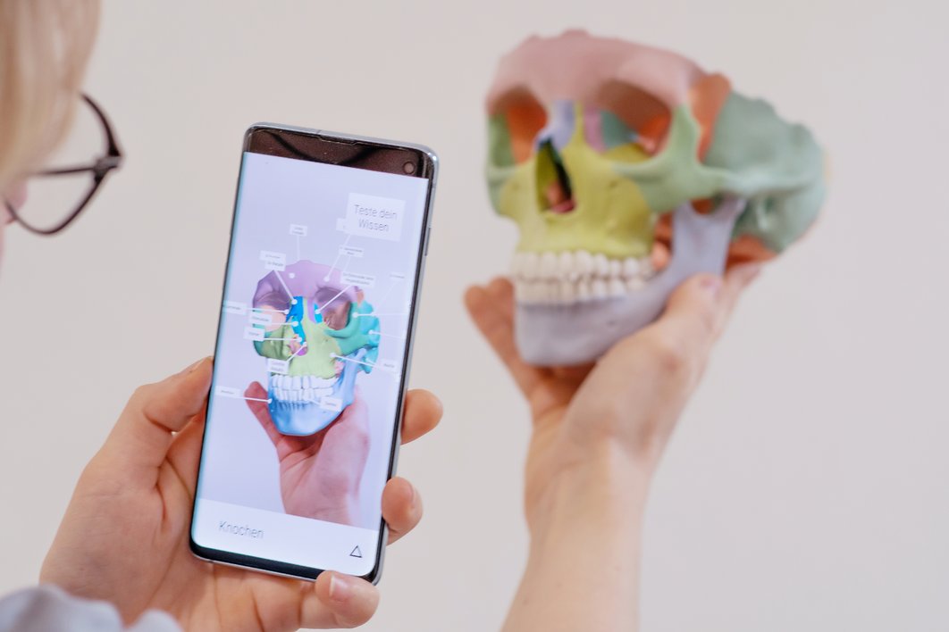 Eine Person hält ein Modell von einem menschlichen Schädel in der einen Hand und ein Smartphone in der anderen. Die unterschiedlichen Bereiche des Schädels sind verschieden eingefärbt. Auf dem Smartphone-Display ist der Schädel mit Beschriftungen für jeden Bereich zu sehen.