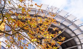 Das Foto zeigt das herbstliche Universitätsklinikum Halle