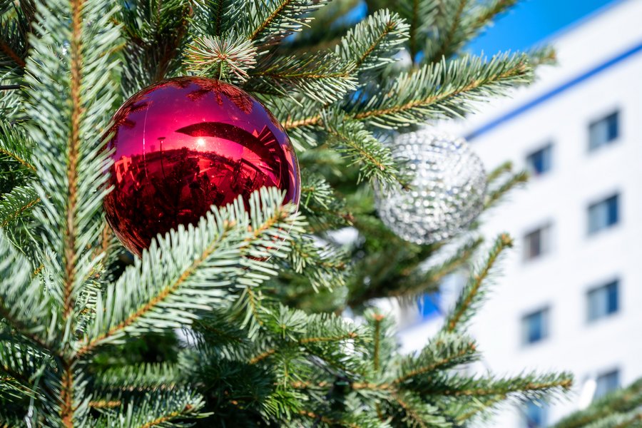 Ausschnitt Weihnachtsbaum mit roter Kugel.  Ausschnitt Weihnachtsbaum mit roter Kugel.